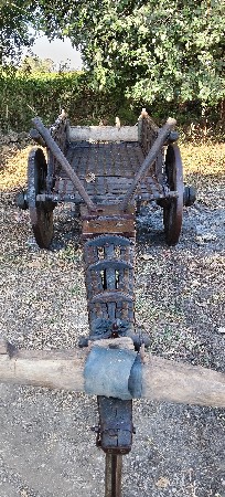 ‌‌બળદ ગાડી‌ વેસવાની છે