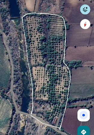 આંબા નો બગીચો