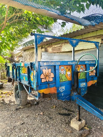 થંબનેલ 3