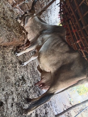 थंबनेल 2