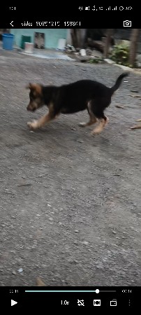 थंबनेल 3