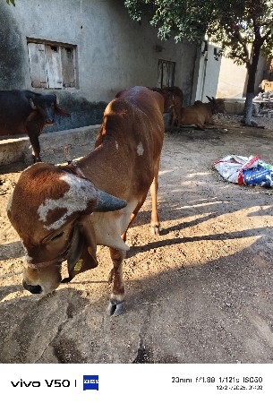 थंबनेल 2