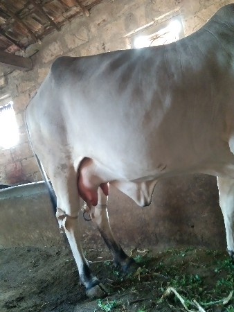 थंबनेल 3