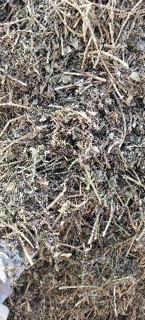 માંડવીનો કોરો ભૂકો વેચવાનો છે.