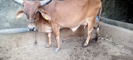 थंबनेल 3