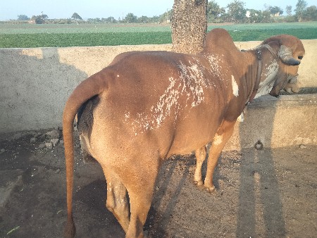 થંબનેલ 2