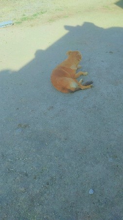 થંબનેલ 3