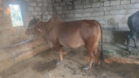 थंबनेल 3