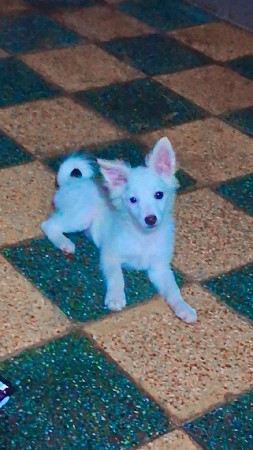 થંબનેલ 3