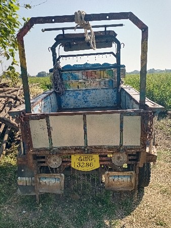 થંબનેલ 2