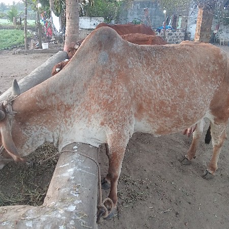 थंबनेल 2