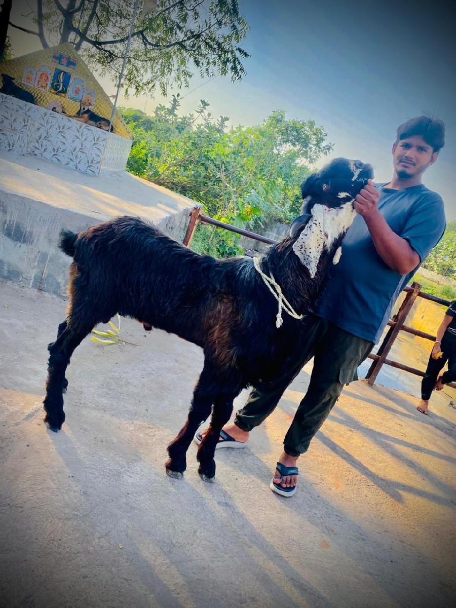 थंबनेल 2