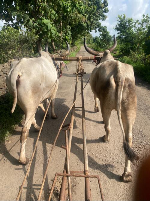 थंबनेल 2