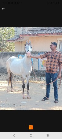 थंबनेल 3