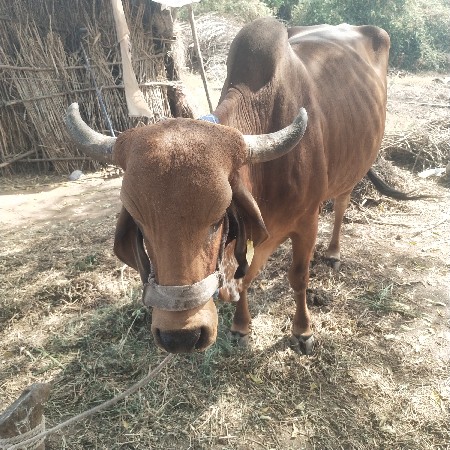 थंबनेल 3