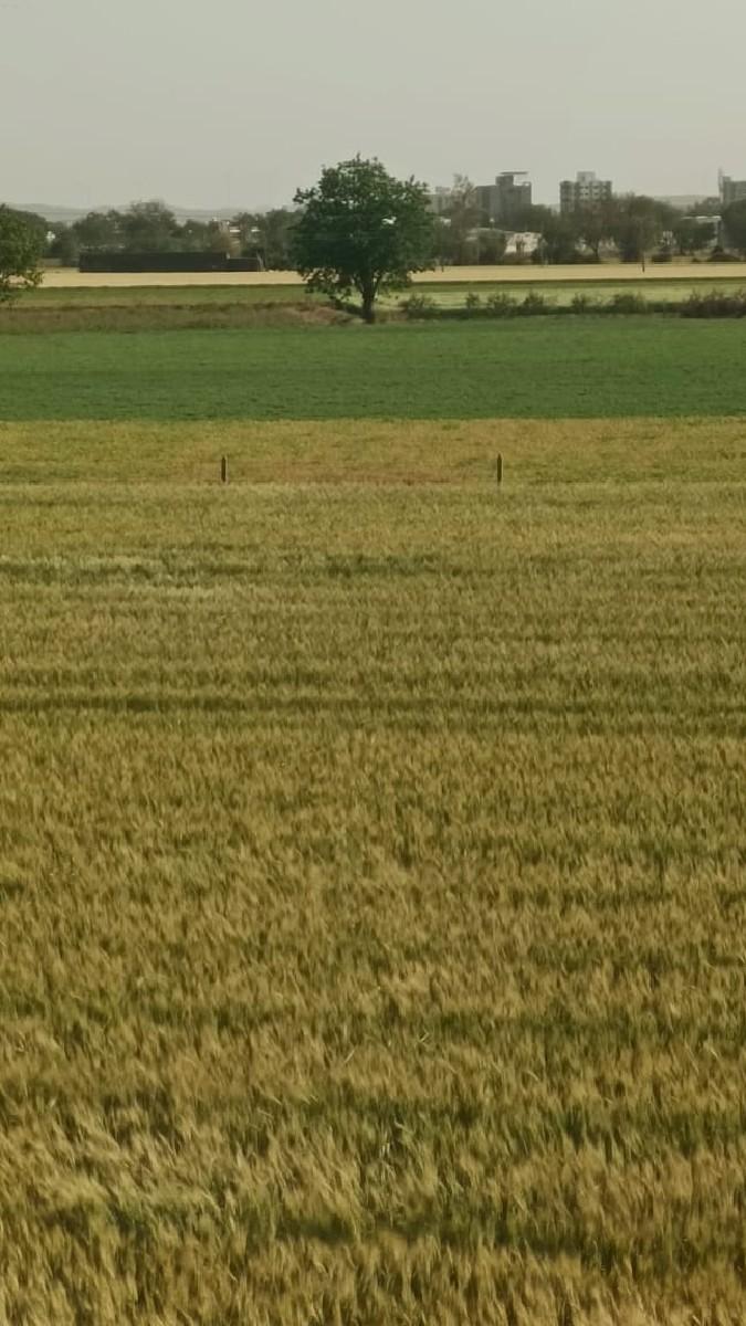 જમીન વેચવા ની છે