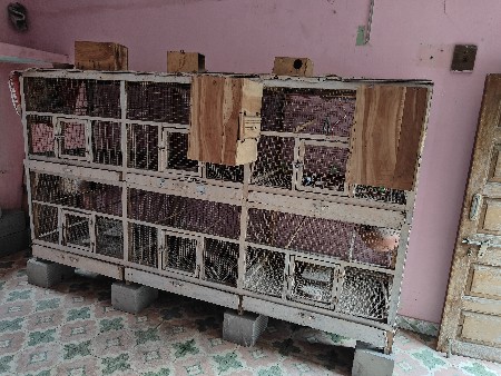 થંબનેલ 3