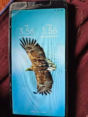 થંબનેલ 2