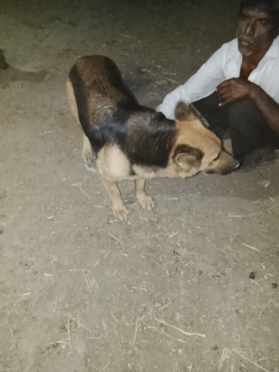 થંબનેલ 3