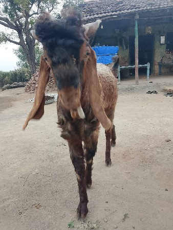 थंबनेल 2