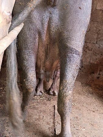 थंबनेल 3