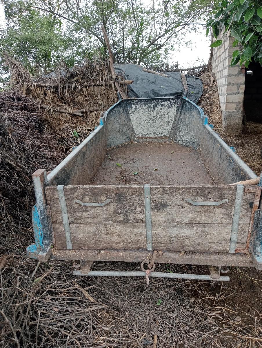 થંબનેલ 3