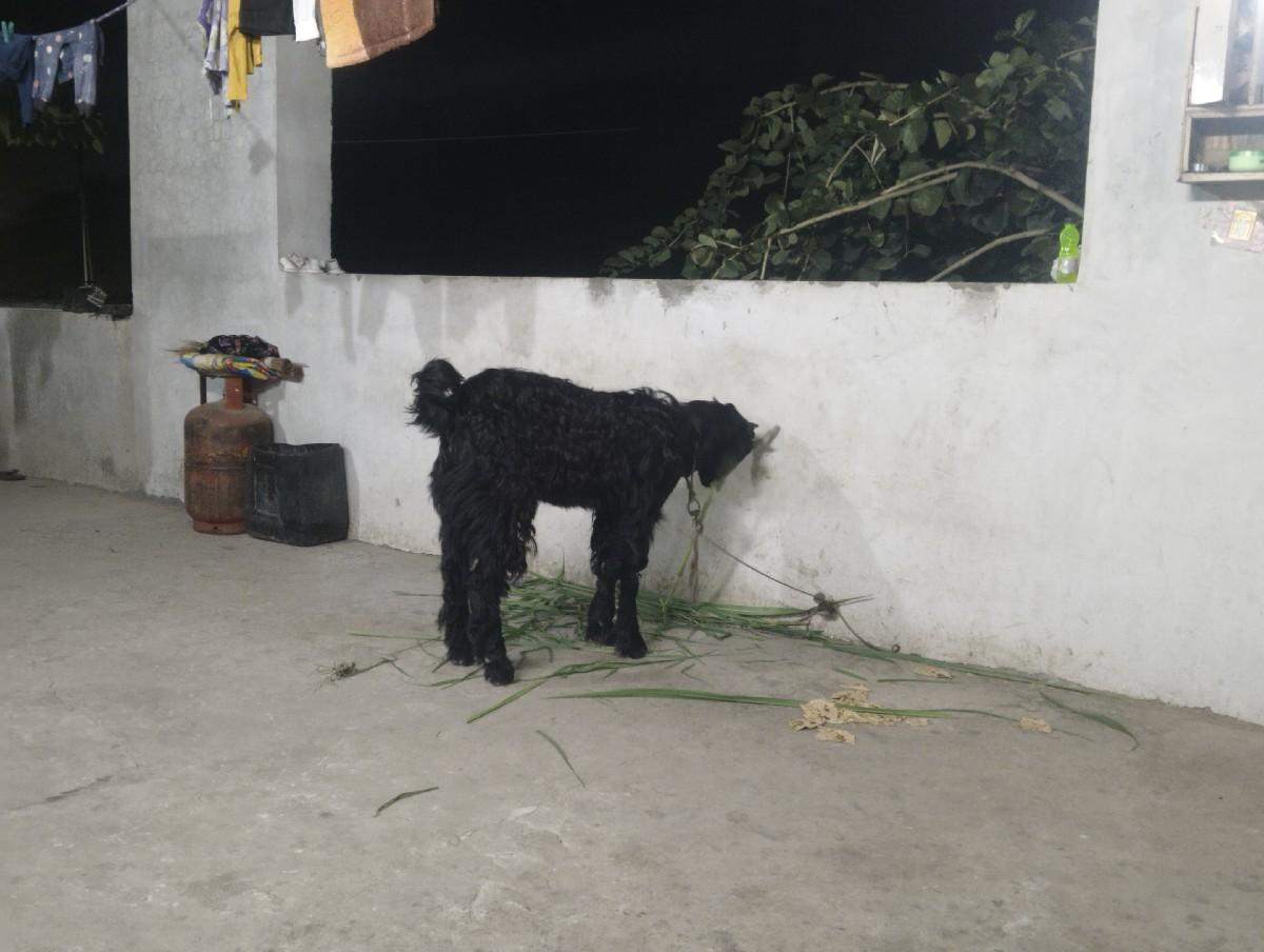 थंबनेल 1