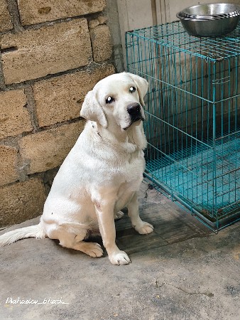 Leb stud result proofs male sel