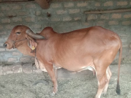 थंबनेल 3