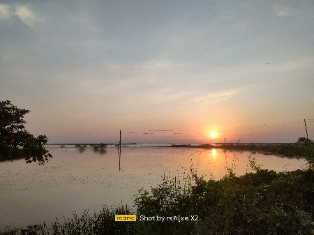 છાણીયું ખાતર