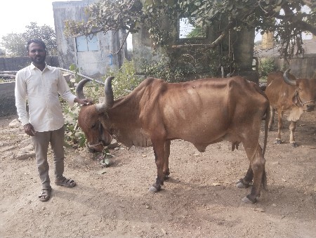 थंबनेल 2