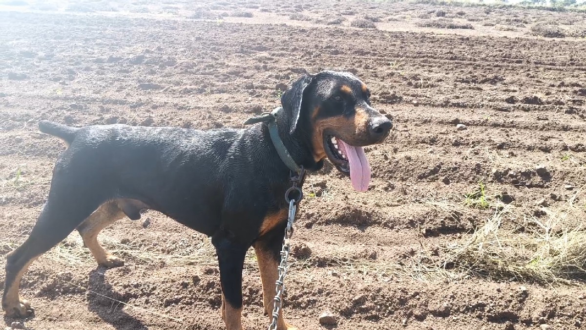 થંબનેલ 3