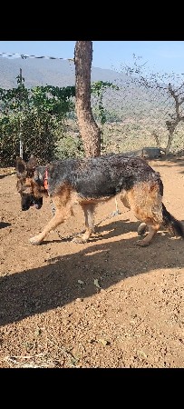 થંબનેલ 3