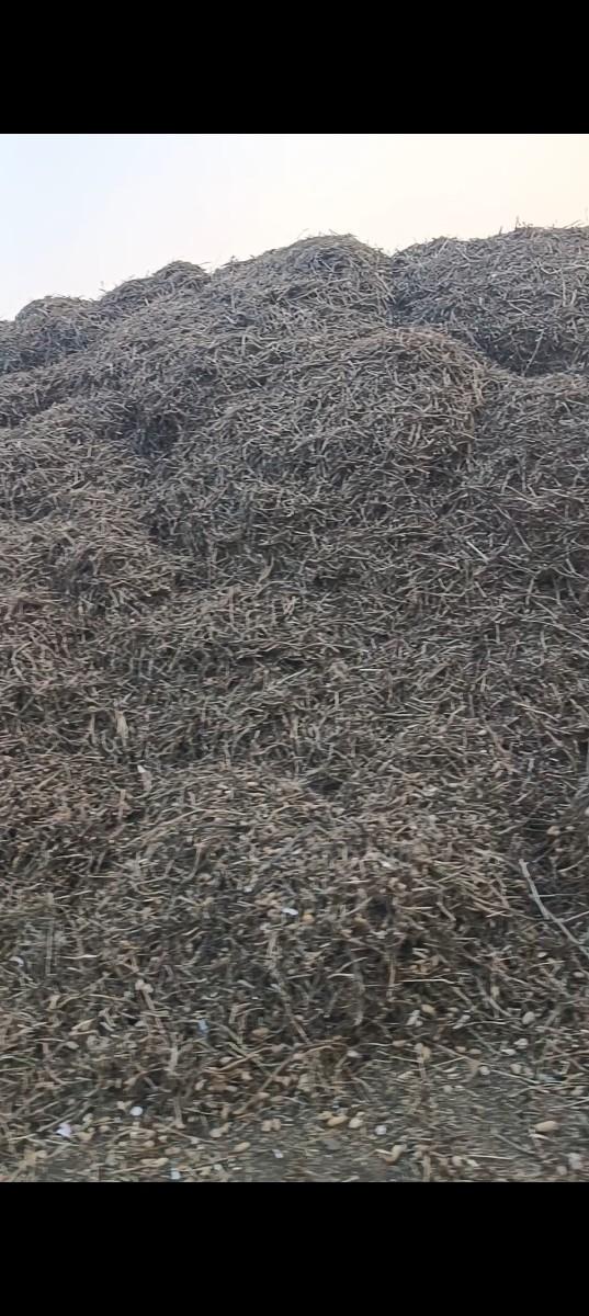 ભૂકો (પાલો) વેચવાનો છે