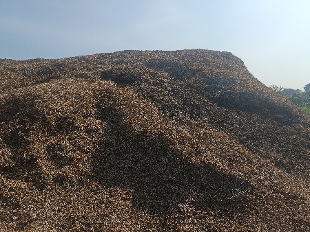 ભૂકો (પાલો) વેચવાનો છે