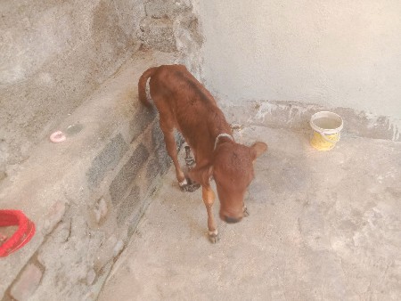 થંબનેલ 3