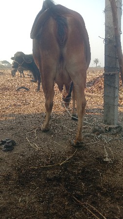 थंबनेल 2