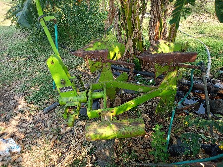 વુંદાવન