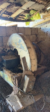 થંબનેલ 3