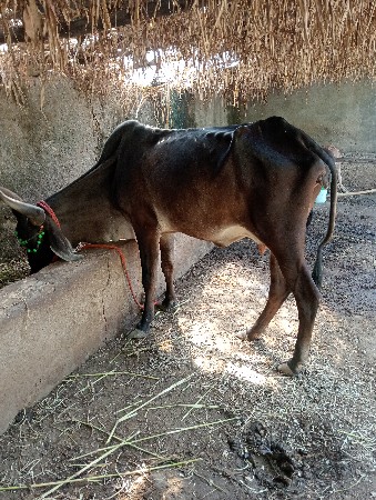 थंबनेल 2