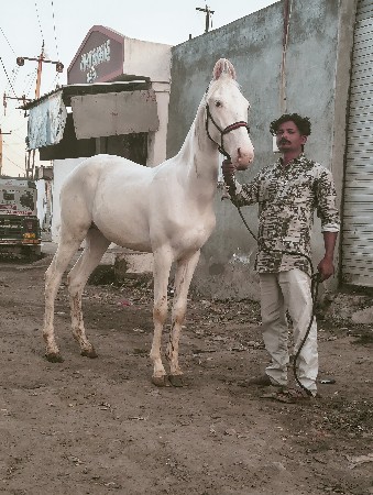 थंबनेल 3