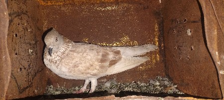 થંબનેલ 2