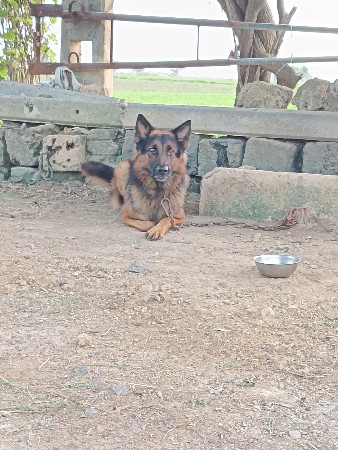 થંબનેલ 3