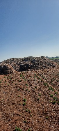 થંબનેલ 1