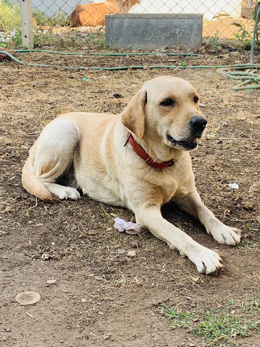 Aek var bacha aapela che