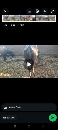 ખડેલી લેવા ની છે