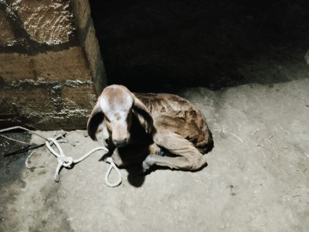 थंबनेल 2