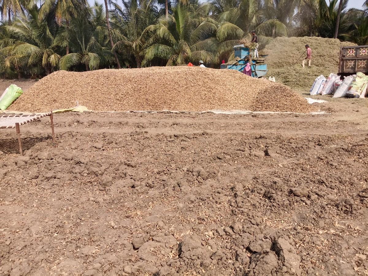 20 number madvi besva ni se