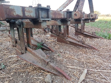 થંબનેલ 1