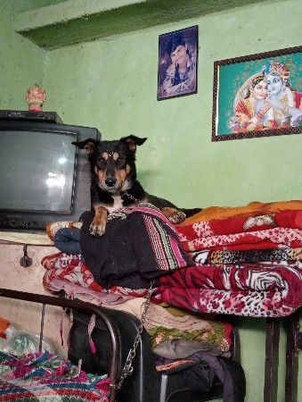 थंबनेल 3